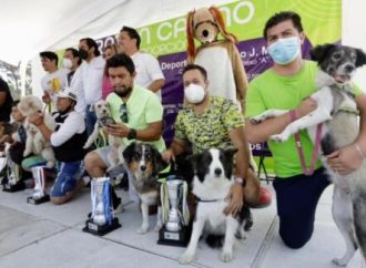 Invita Giovani Gutiérrez al Segundo Maratón Canino en Coyoacán