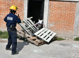 Visitan Azcapotzalco 12 binomios k9 de la UNAM para realizar prácticas en protección civil