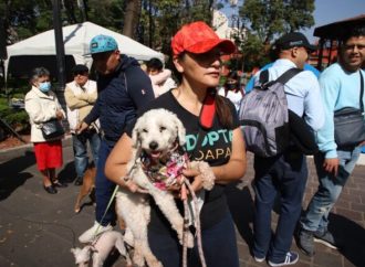 Realizan concurso de belleza para mascotas en Coyoacán
