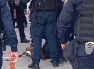 Operativo: 15 policías para detener un perro