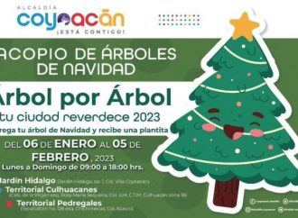 Invita Alcaldía Coyoacán al acopio de árboles de navidad