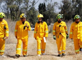 Lía Limón supervisa el “Plan Manejo de Fuego” para prevenir incendios forestales