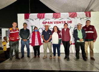 Tláhuac, principal productor, arranca comercialización de romeritos para Semana Santa