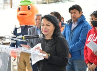 Promoverá Pepe, La hormiga la cultura de la prevención entre los niños