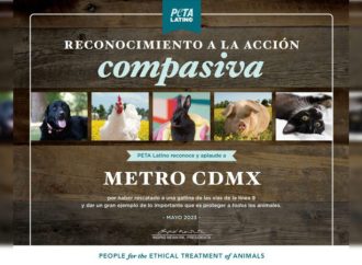 Metro recibe reconocimiento de PETA tras salvar gallina de las vías en L 9