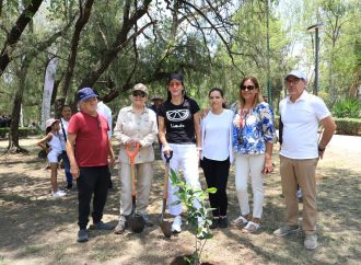 Se plantarán 3 mil árboles en la Alcaldía: Lía Limón