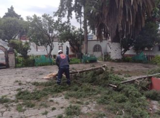 Reporta Azcapotzalco saldo blanco tras alerta roja por fuertes lluvias