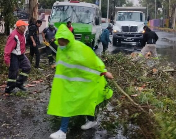 Atiende Coyoacán emergencia por lluvias con ráfagas de viento atípicas
