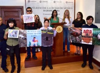 Torturan y matan a perros en bosque de Xochimilco: Oposición