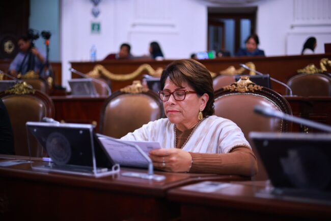 La aprobación de la licencia de Santiago Taboada no es competencia del TECM: Martha Ávila
