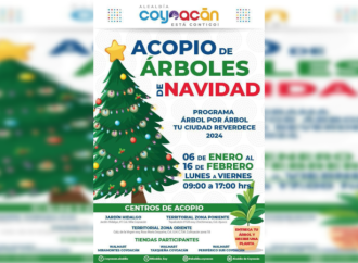Continúa  el acopio de árboles de navidad en Coyoacán